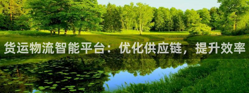 28圈注册问一问：货运物流智能平台：