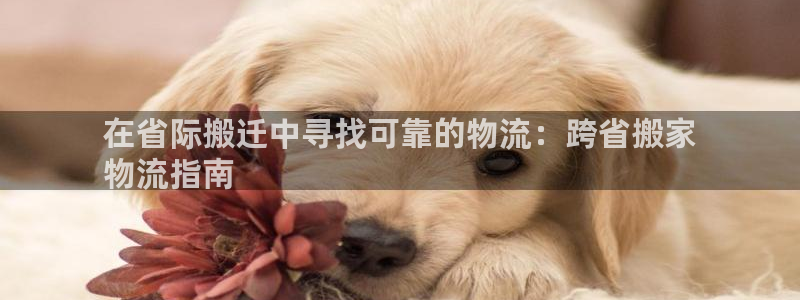 28圈代理落网：在省际搬迁中寻找可靠