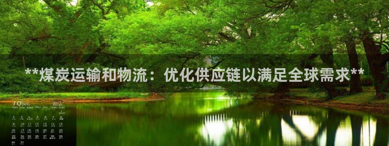 28圈免费：**煤炭运输和物流：优化