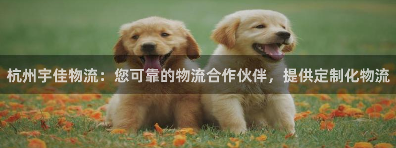 28圈为什么没有赢过一次