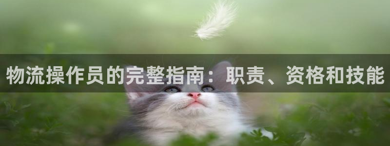 28圈官网版所有版本：物流操作员的完