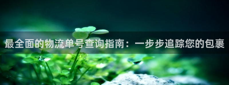28圈注册登录流程：最全面的物流单号