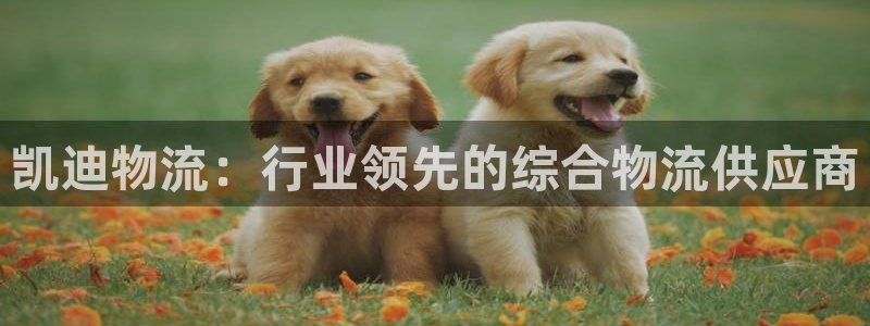 28圈机器人是什么软件：凯迪物流：行