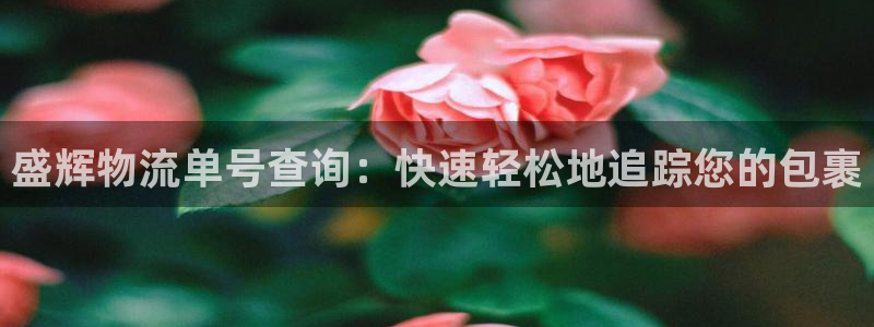 28圈注册网址：盛辉物流单号查询：快