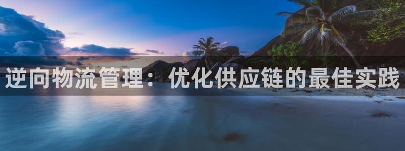 28圈免费：逆向物流管理：优化供应链