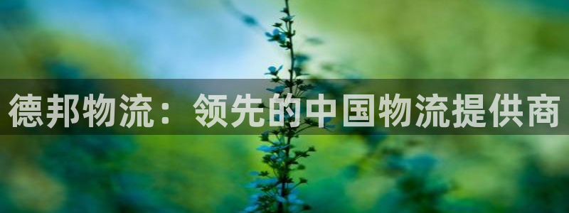 28圈圈助手