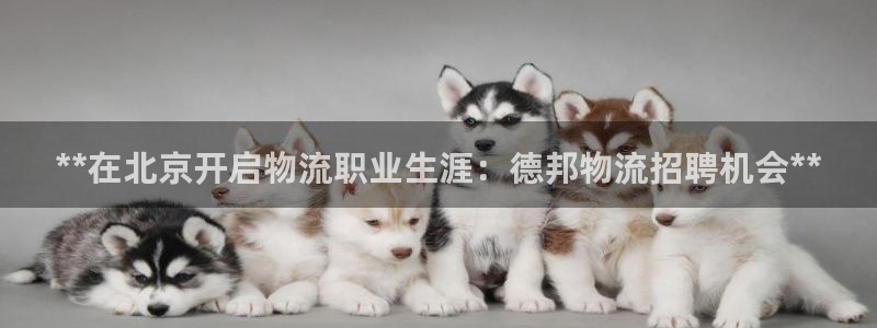28圈.ccmo：**在北京开启物流