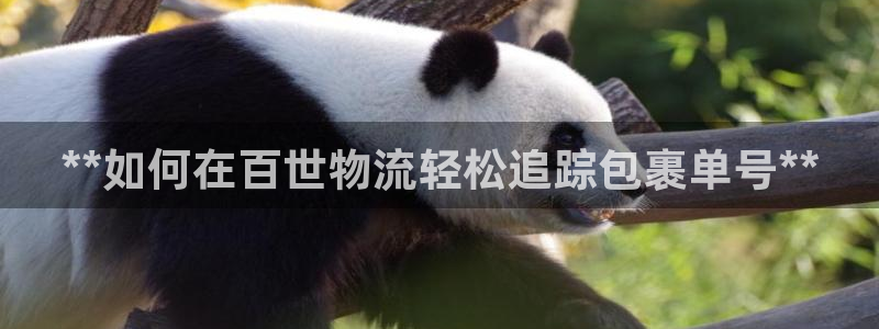 28圈娱乐官网网页：**如何在百世物