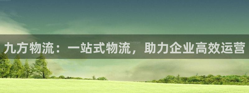 28圈圈助手：九方物流：一站式物流，