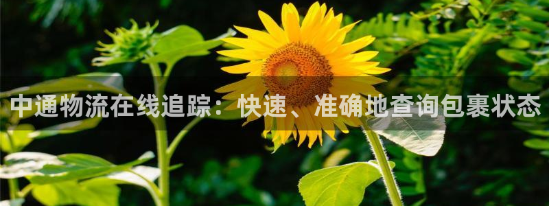 28圈官网注册：中通物流在线追踪：快