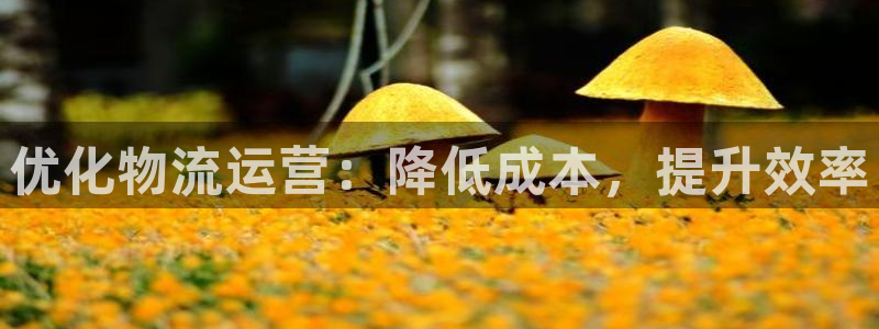 28圈充值不到账怎么回事：优化物流运