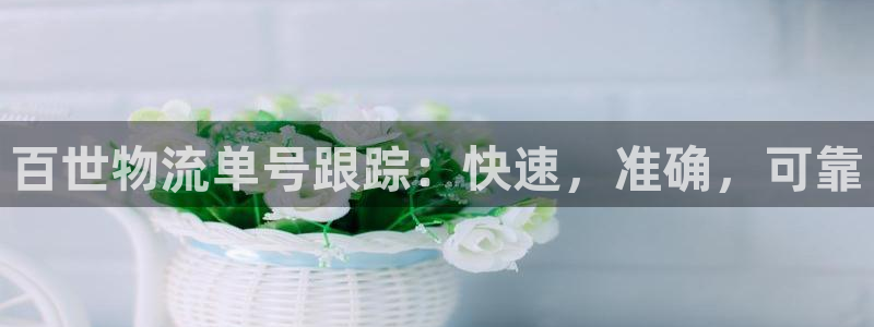 自行车28圈是什么意思：百世物流单号