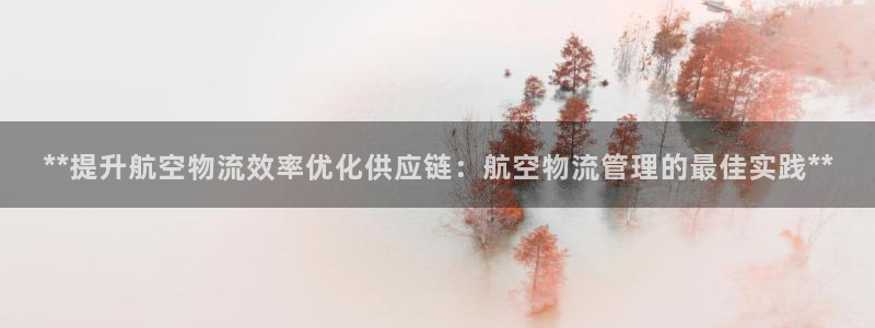 28圈下分了不给钱：**提升航空物流