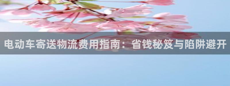 28圈登录网：电动车寄送物流费用指南