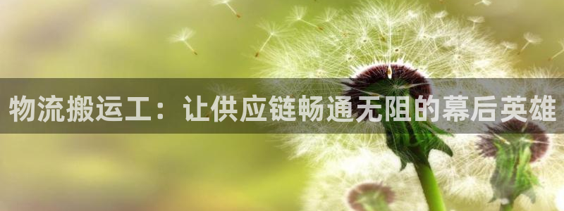 28圈大神预测：物流搬运工：让供应链
