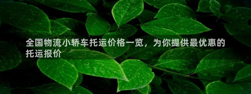 28圈加拿大是什么