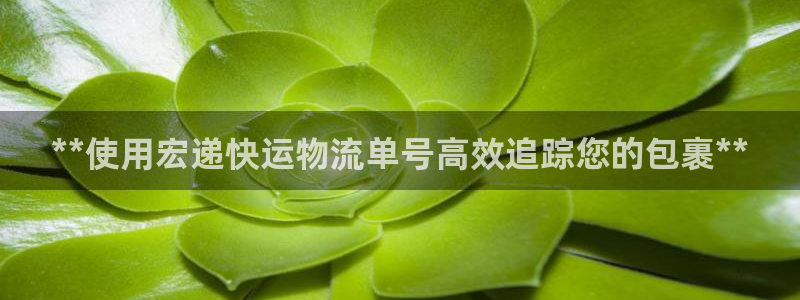 28圈.ccm2024：**使用宏递