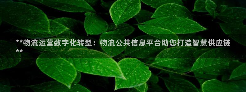 28圈app官网少林足球：**物流运