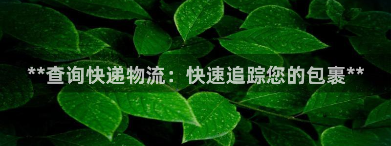 28圈正规吗?：**查询快递物流：快