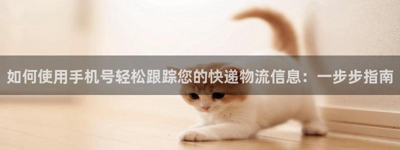 28圈官方官网：如何使用手机号轻松跟