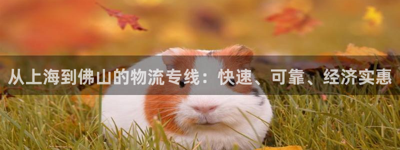 28圈合法吗：从上海到佛山的物流专线