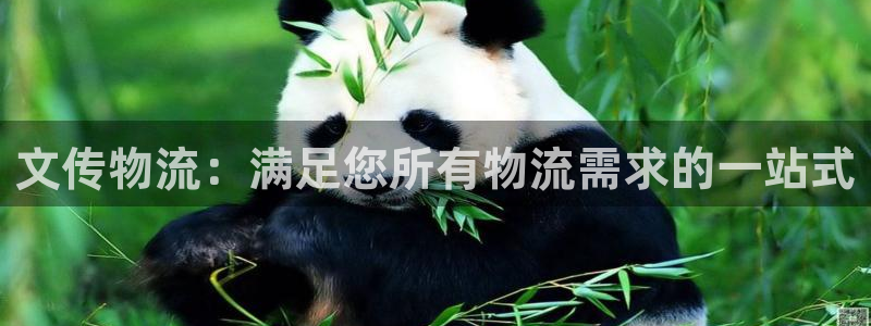 28圈推广链接是多少个：文传物流：满