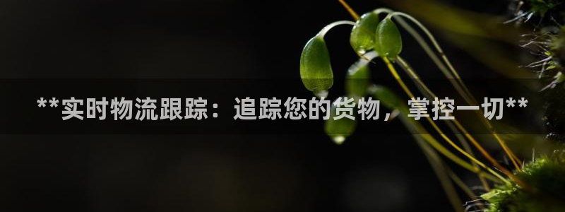 28圈免费充钱：**实时物流跟踪：追