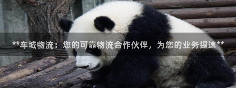 28圈大舞台：**车城物流：您的可靠