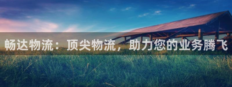 28圈黑钱：畅达物流：顶尖物流，助力