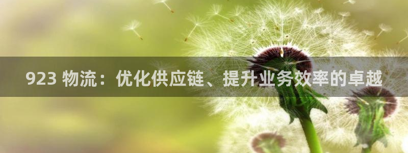 28圈下分了不给钱：923 物流：优