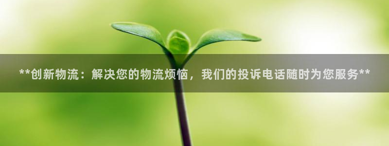 28圈为什么没有赢过一次：**创新物