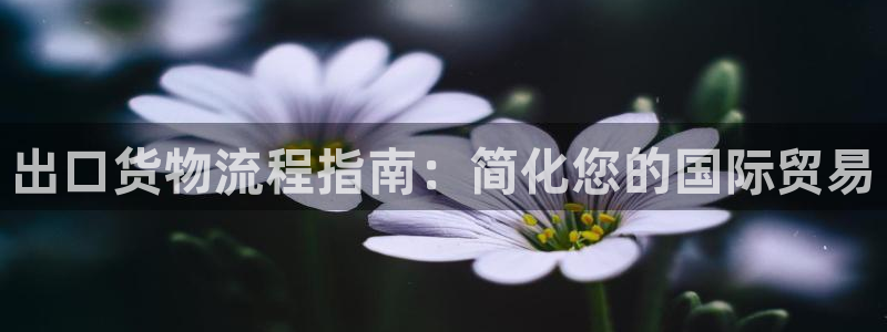28圈注册登录链接流程：出口货物流程
