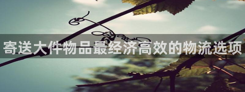自行车28圈是什么意思：寄送大件物品