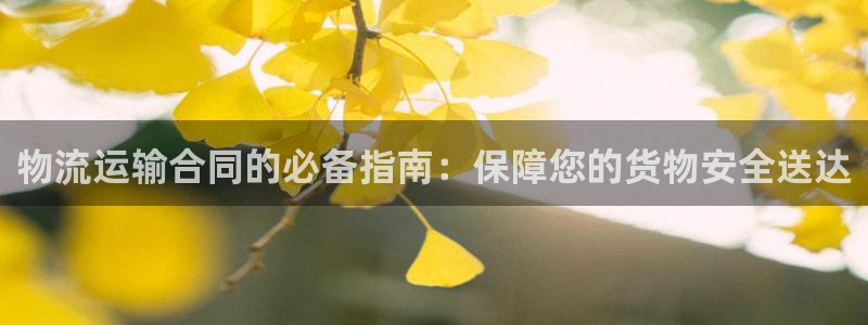 28圈注册网站加拿大：物流运输合同的