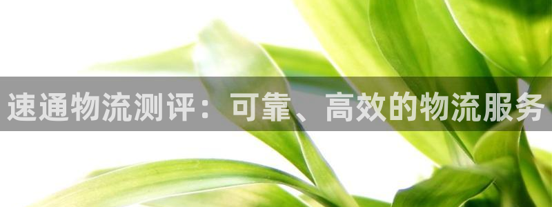 28圈网赌有什么风险：速通物流测评：