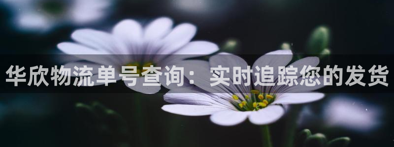 28圈开奖预测：华欣物流单号查询：实