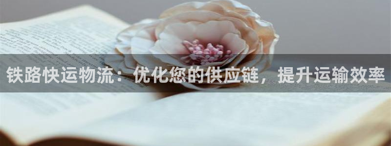 28圈口：铁路快运物流：优化您的供应