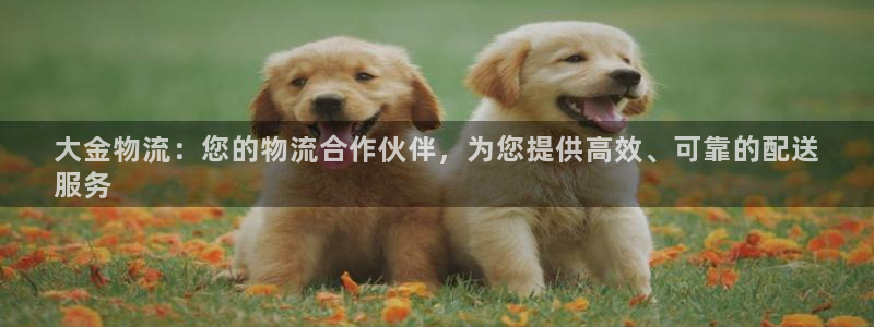 28圈登录不上咋回事：大金物流：您的