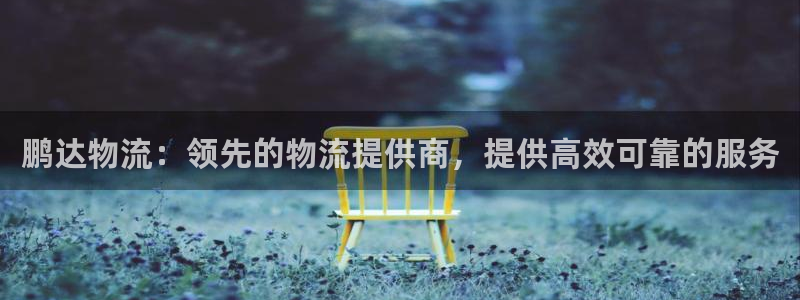 28圈分分28预测：鹏达物流：领先的