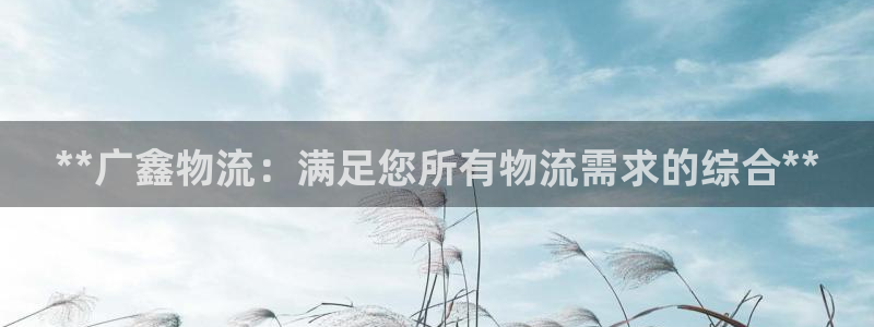 28圈初始资金密码是什么：**广鑫物