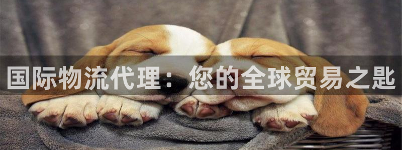 28圈软件总是闪退怎么回事：国际物流