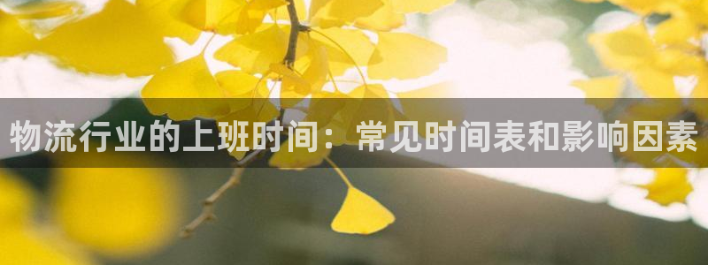28圈可以退款吗：物流行业的上班时间