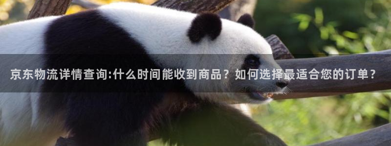 28圈加拿大