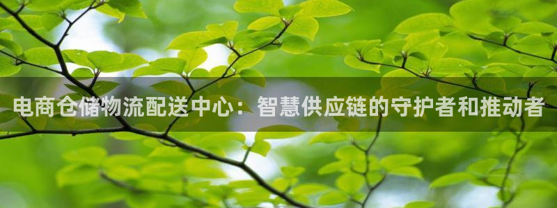 28圈为什么没有赢过一次
