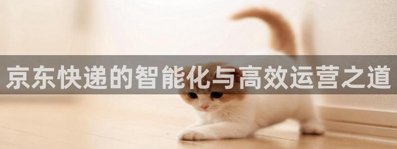 28圈初始资金密码在哪里改