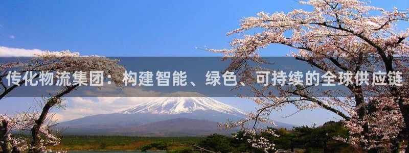 28圈加拿大pc预测：传化物流集团：构建智能、绿色、可持续的