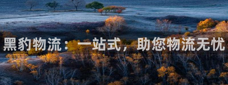 28圈提款一直没到:黑豹物流:一站式