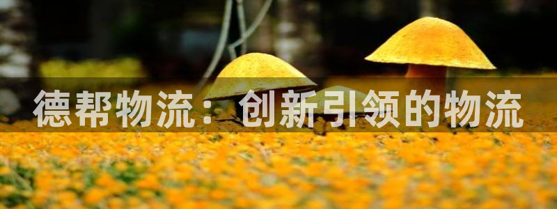 28圈ip被限制怎么解决：德帮物流：