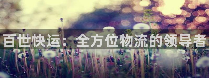 28圈加拿大开奖：百世快运：全方位物