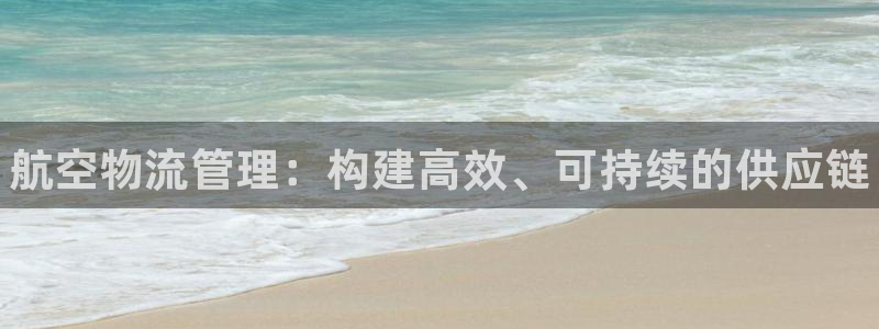 28圈里的财神：航空物流管理：构建高